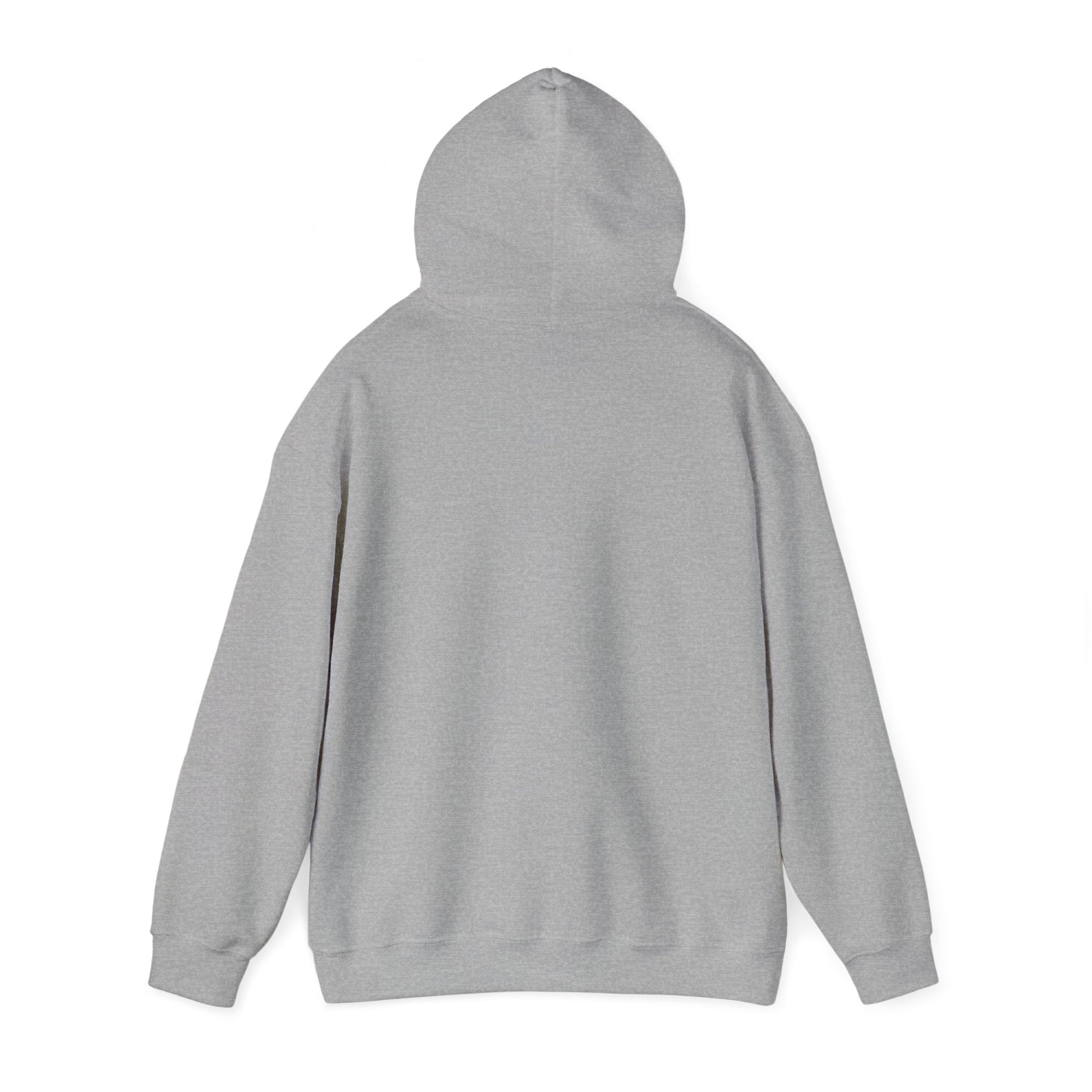 Bill Burr Hoodie Boston Celtics Hoodie Larry Bird Hoodie Monday Morning Podcast Merch Podcast Gift Celtics Fan Gift Basketball Fan Gift Hoodies Basketball Bill Burr Boston Celtics Monday Morning Podcast NBA Podcasts Stand-up Comedy Printify