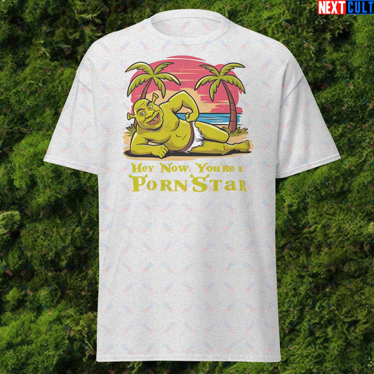 Hey Now, You're a Pornstar Shrek Smash Mouth Funny Meme Cartoon Unisex tee Ash T-shirts Movies Shrek Next Cult Brand