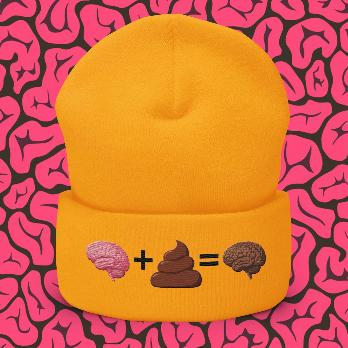 Poo for Brains Funny Math Equation Cuffed Beanie Gold Hats Brains Life Math Next Cult Brand