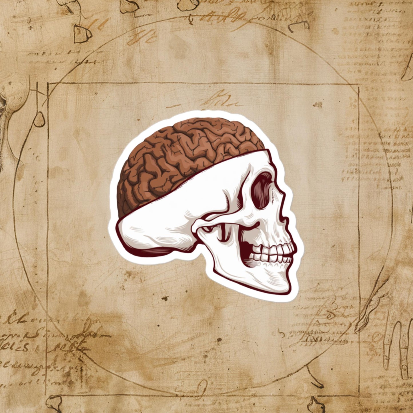 Poop Brain Anatomy Funny Leonardo da Vinci Drawing Bubble-free stickers 3″×3″ Stickers Brains Feelings Leonardo da Vinci Life Next Cult Brand