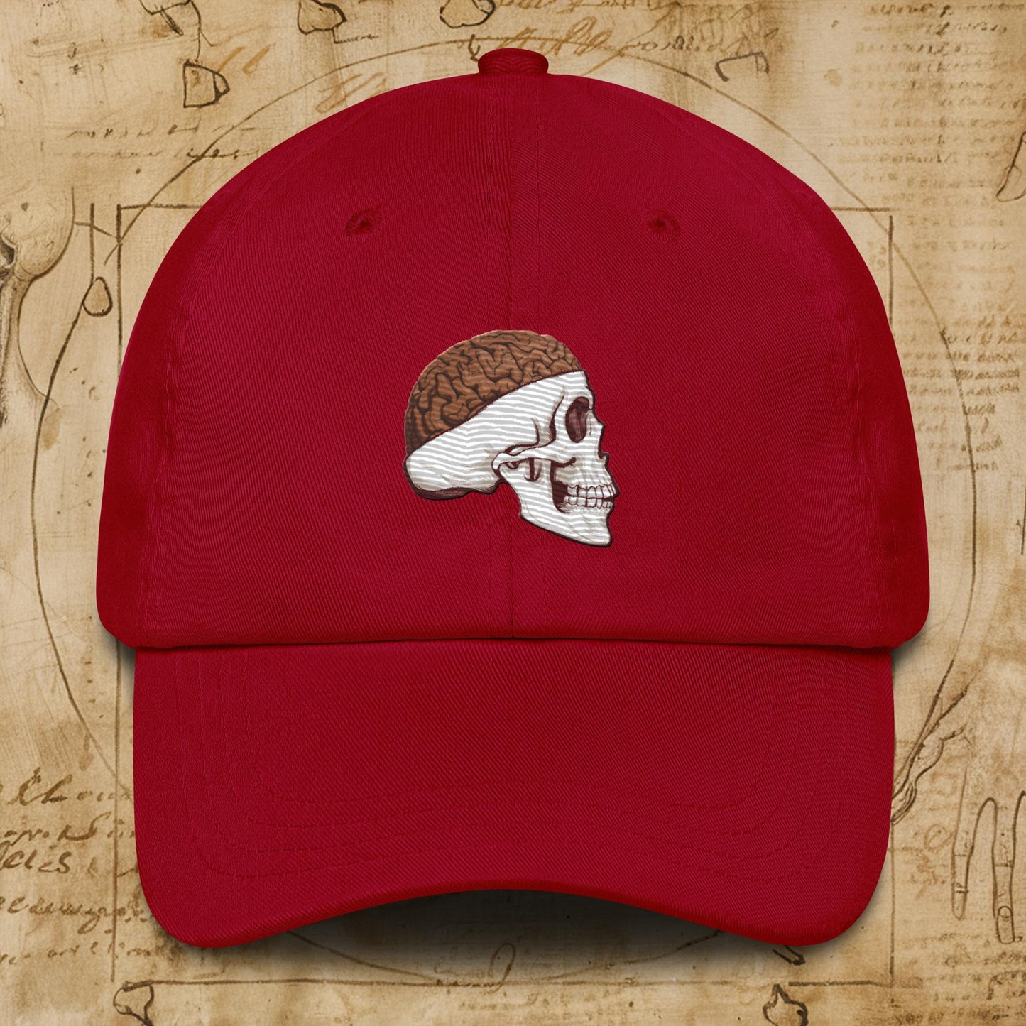 Poop Brain Anatomy Funny Leonardo da Vinci Drawing Dad hat Cranberry Hats Brains Feelings Leonardo da Vinci Life Next Cult Brand