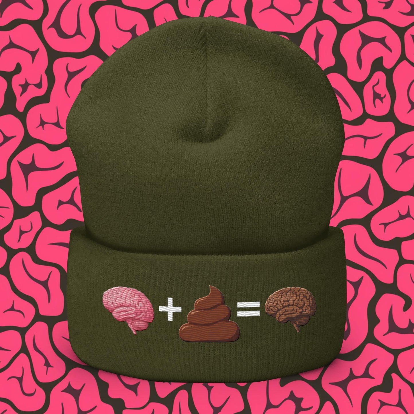Shit For Brains Funny Math Equation Cuffed Beanie Olive Hats Brains Life Math Next Cult Brand