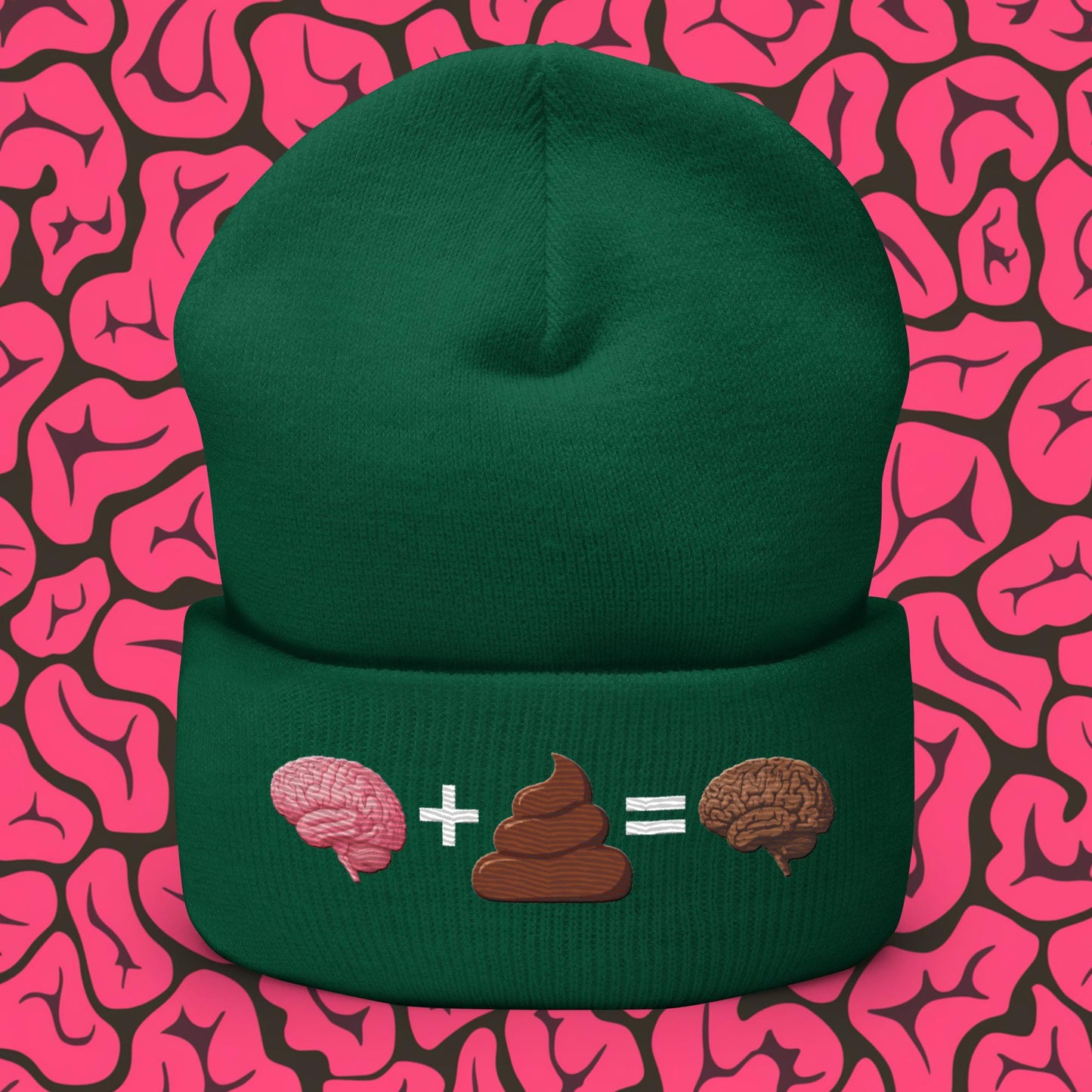 Shit For Brains Funny Math Equation Cuffed Beanie Spruce Hats Brains Life Math Next Cult Brand