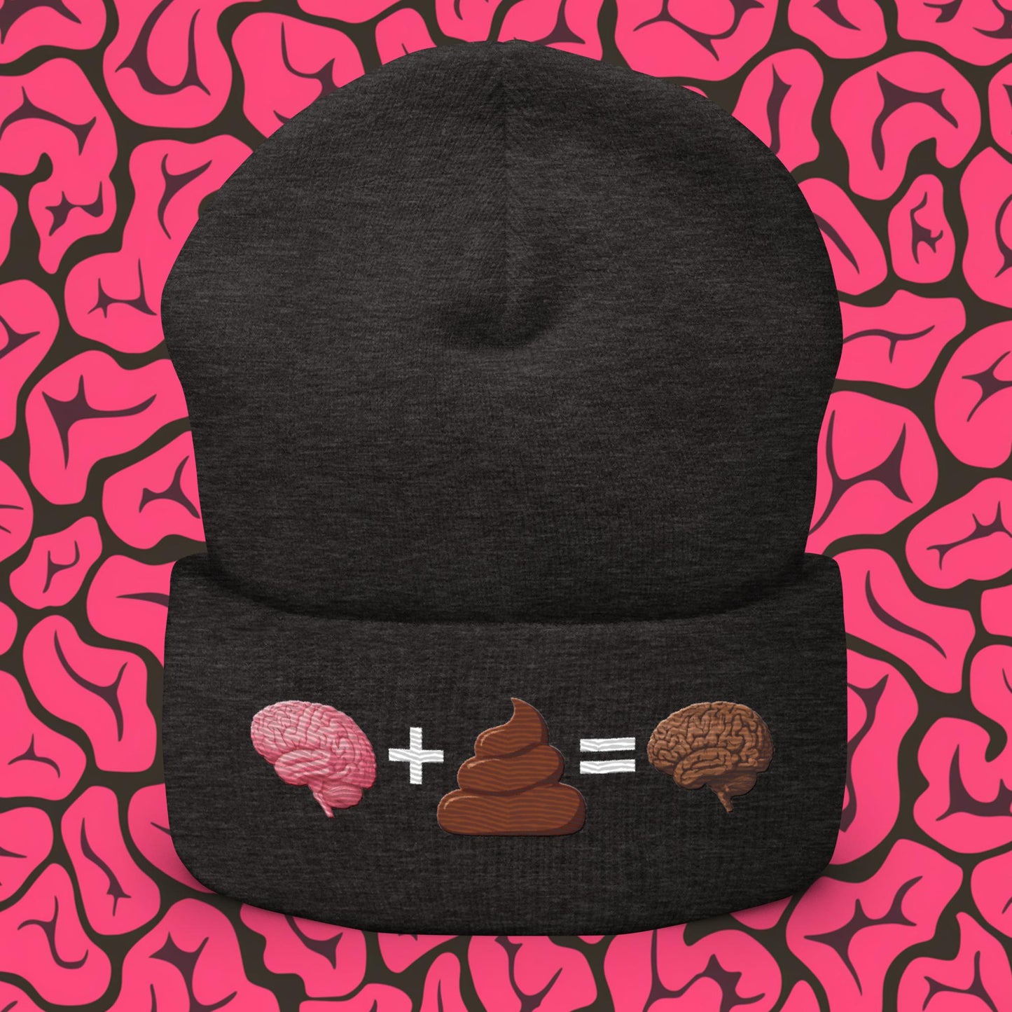 Shit For Brains Funny Math Equation Cuffed Beanie Dark Grey Hats Brains Life Math Next Cult Brand