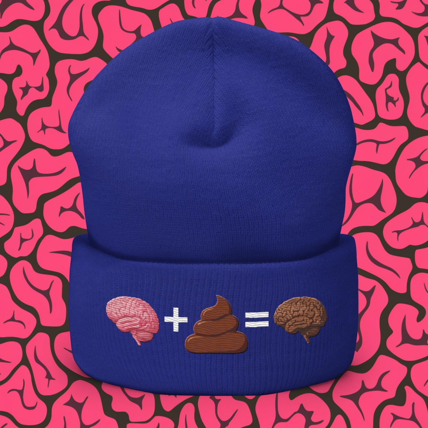 Shit For Brains Funny Math Equation Cuffed Beanie Royal Hats Brains Life Math Next Cult Brand