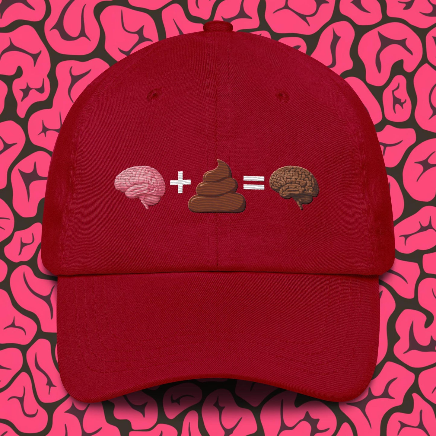 Shit For Brains Funny Math Equation Dad hat Cranberry Hats Brains Life Math Next Cult Brand