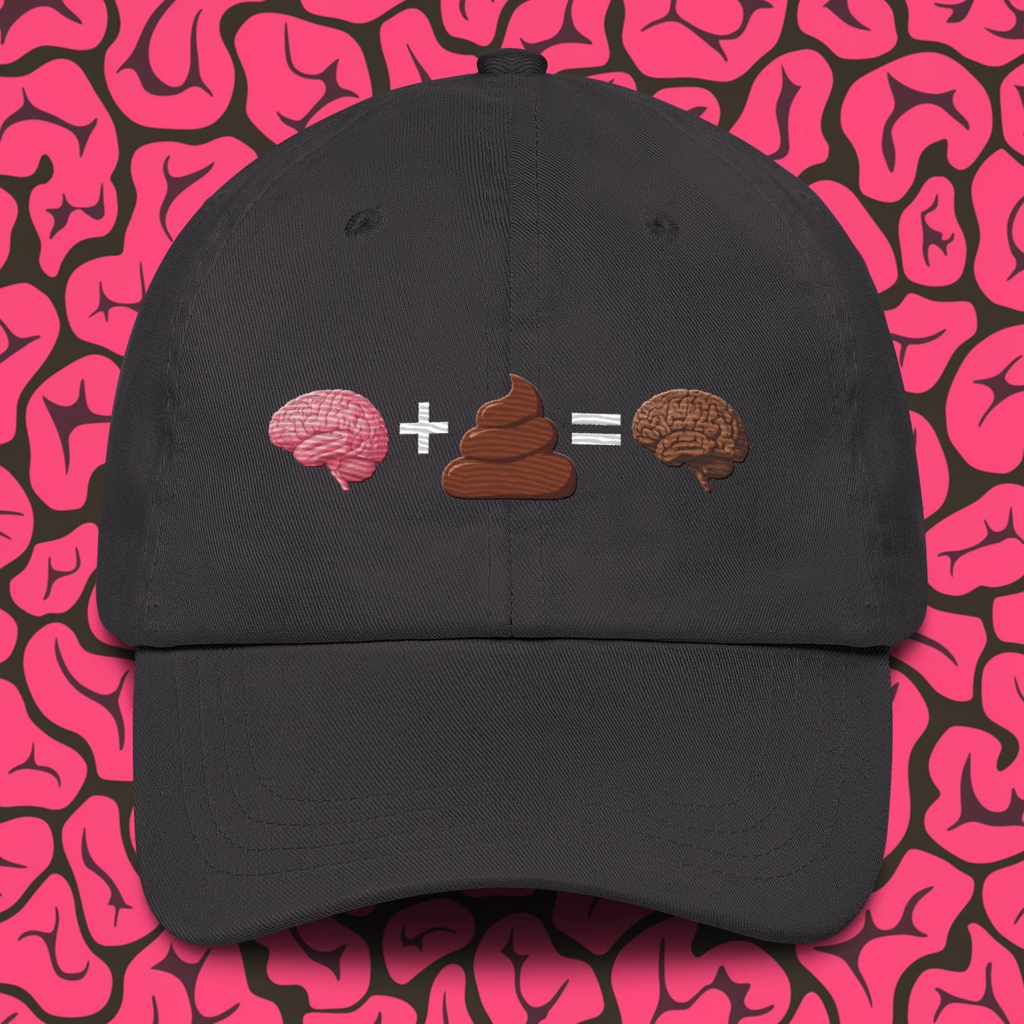 Shit For Brains Funny Math Equation Dad hat Dark Grey Hats Brains Life Math Next Cult Brand
