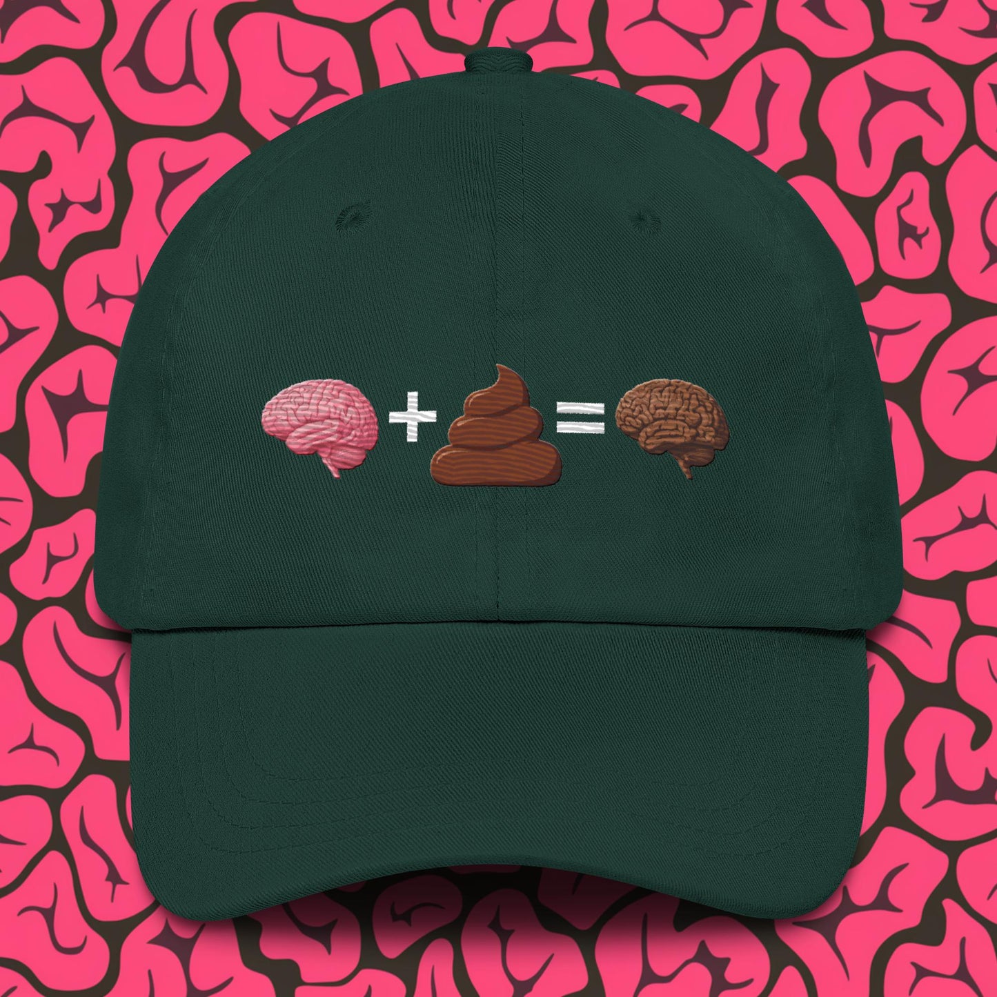 Shit For Brains Funny Math Equation Dad hat Spruce Hats Brains Life Math Next Cult Brand