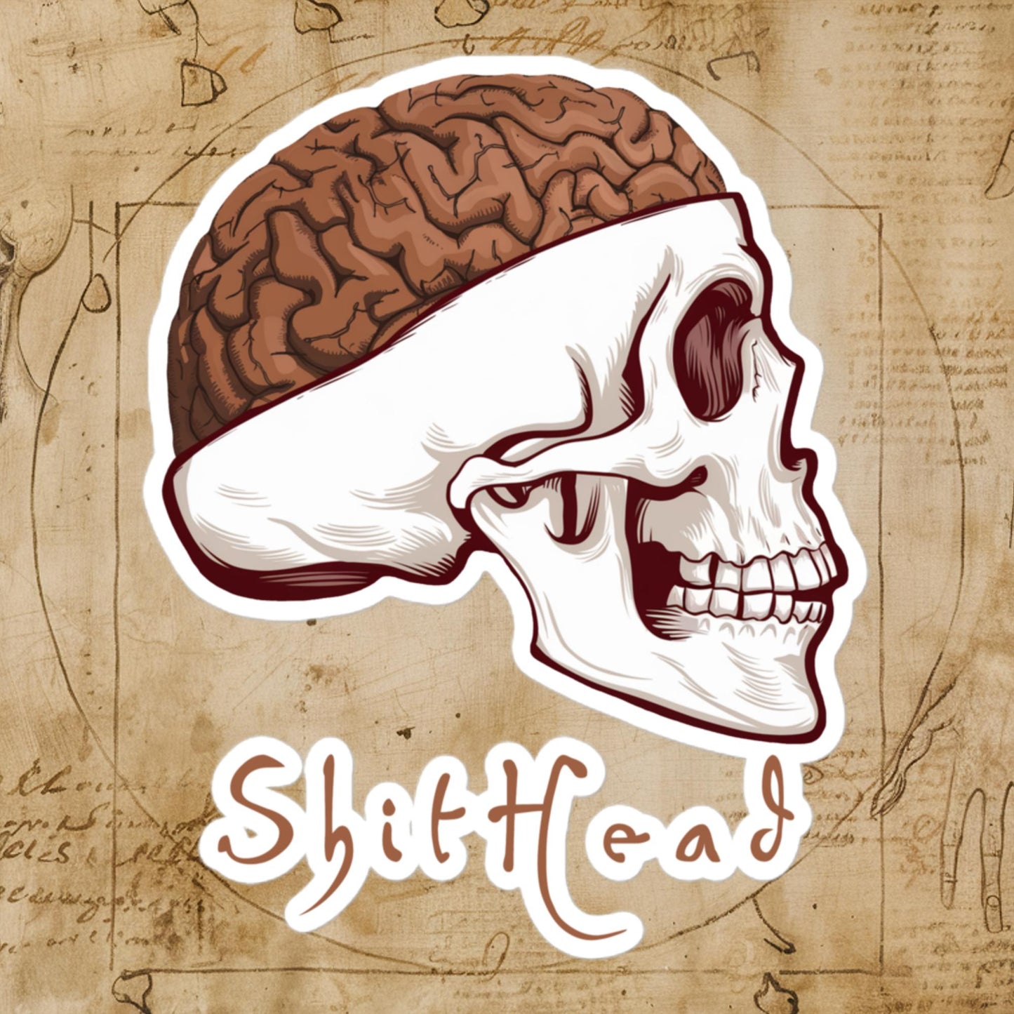 ShitHead Funny Leonardo da Vinci Drawing Bubble-free stickers 5.5″×5.5″ Stickers Brains Feelings Leonardo da Vinci Life Next Cult Brand