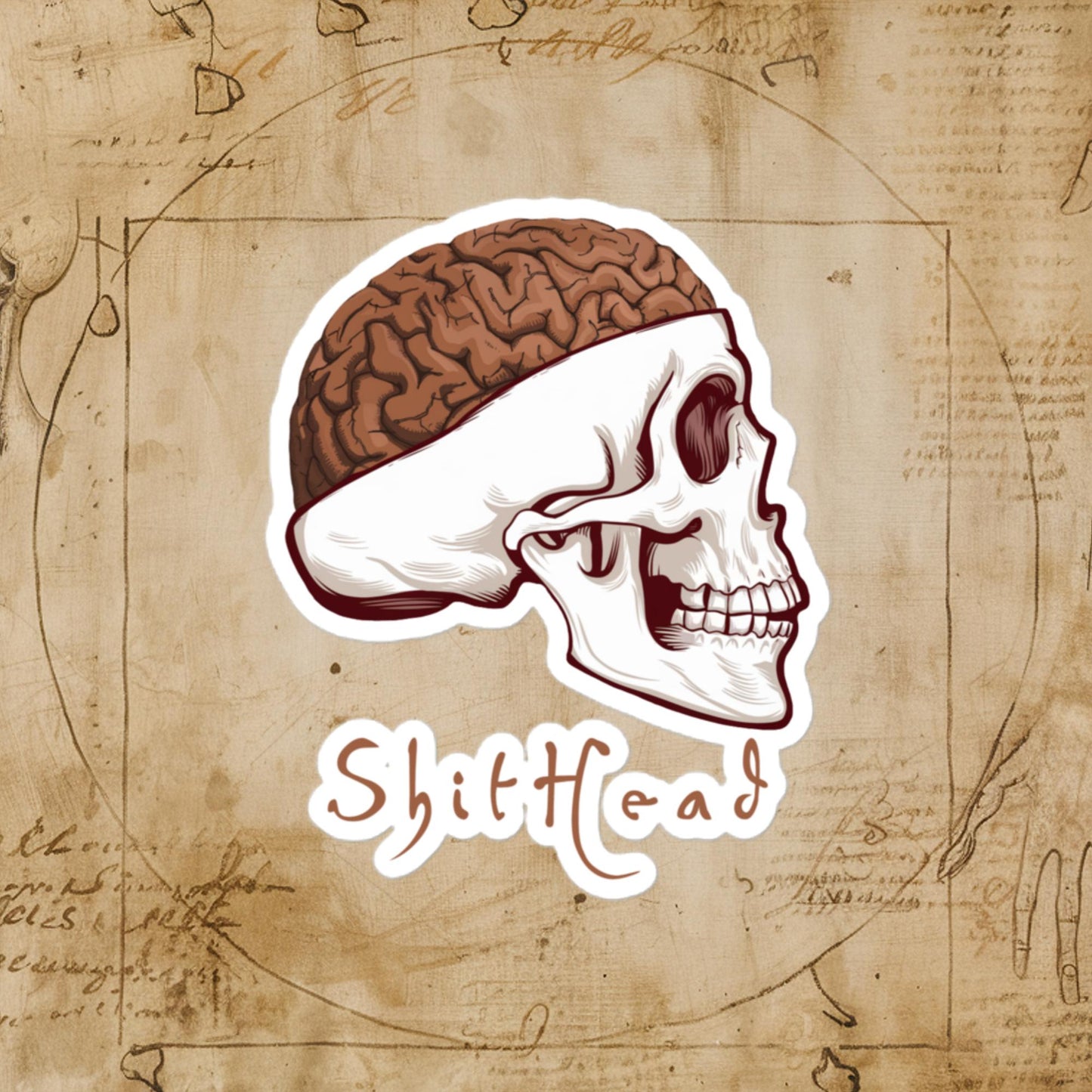 ShitHead Funny Leonardo da Vinci Drawing Bubble-free stickers 4″×4″ Stickers Brains Feelings Leonardo da Vinci Life Next Cult Brand