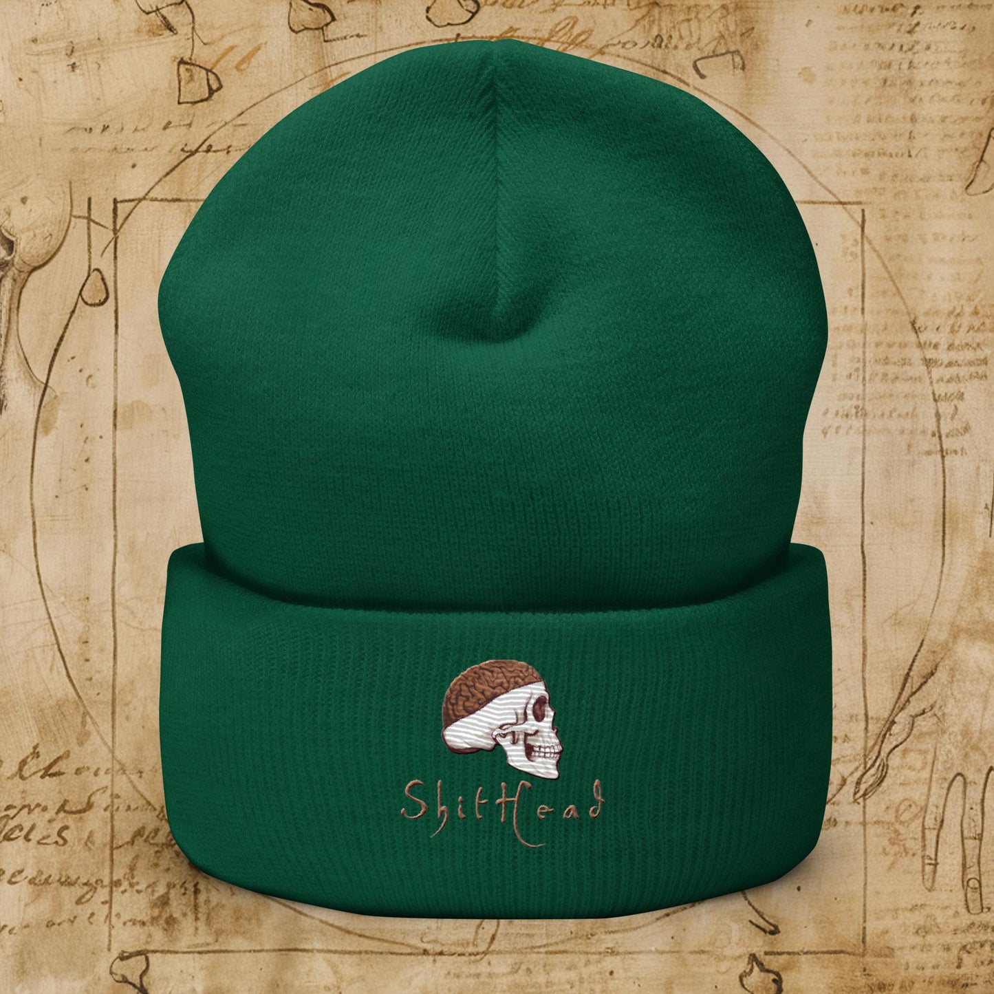 ShitHead Funny Leonardo da Vinci Drawing Cuffed Beanie Spruce Hats Brains Feelings Leonardo da Vinci Life Next Cult Brand