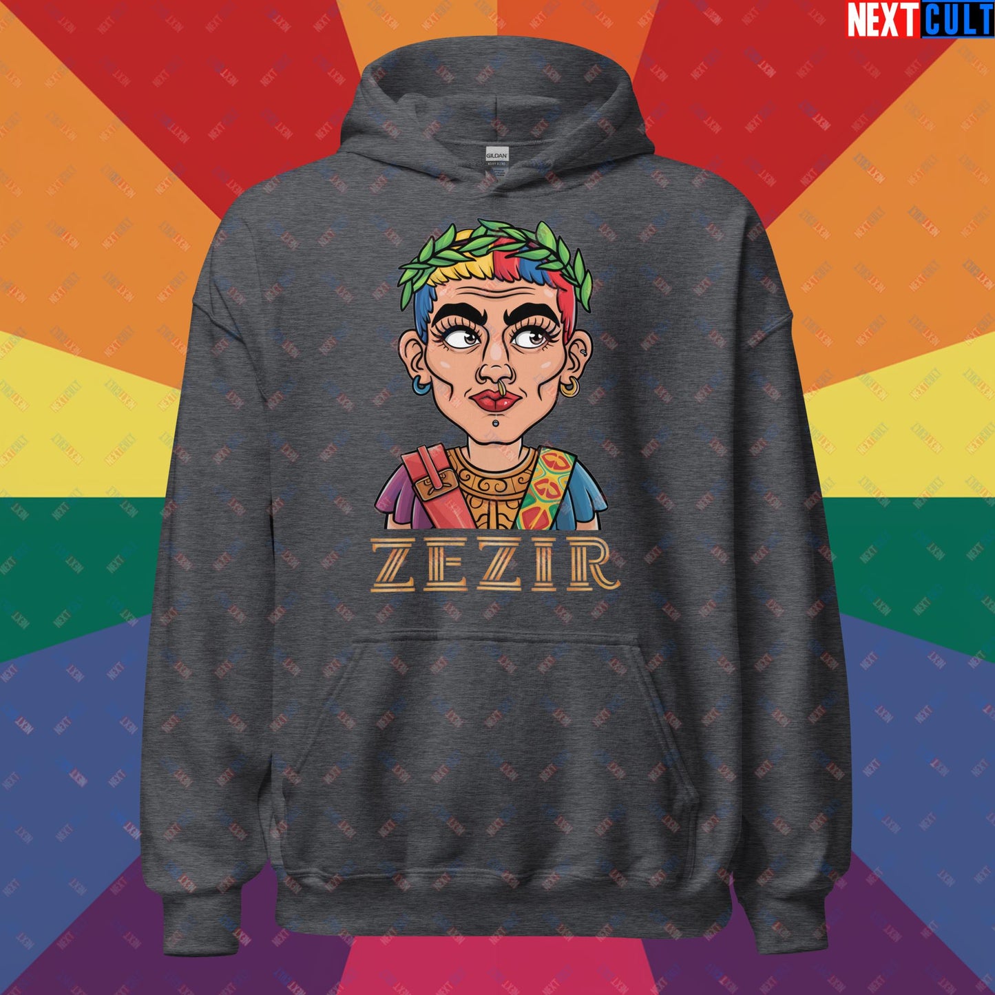 ZeZir Funny Gender Neutral Non-Binary Pronouns Unisex Hoodie Dark Heather Hoodies LGBTQ+ Next Cult Brand