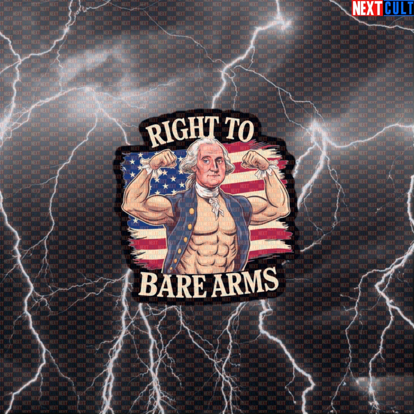 Right To Bare Arms Funny Gym Sticker | George Washington Workout Decal Default Title Stickers 4th of July Bodybuilding Fitness George Washington Gym Workout Next Cult Brand