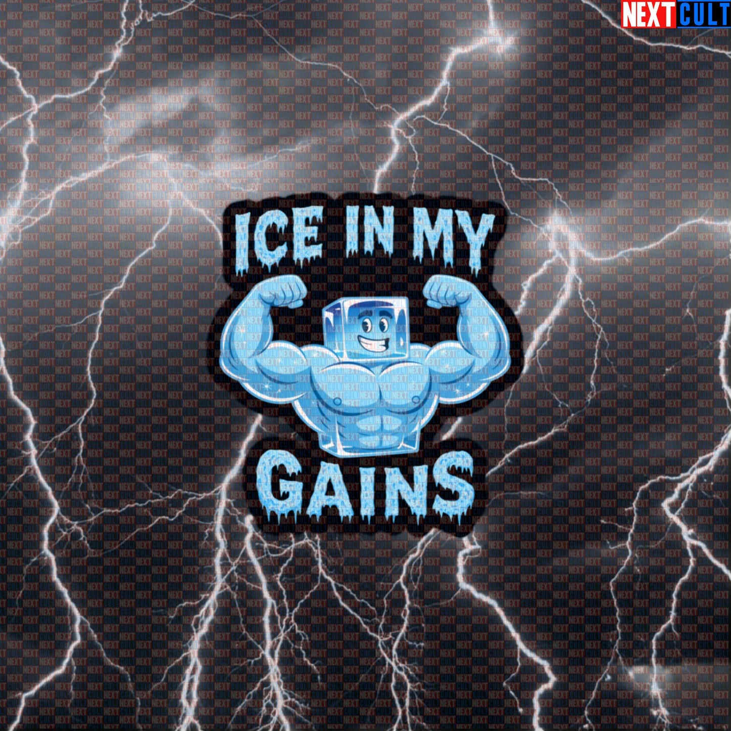 Ice In My Gains Funny Gym Sticker | Icy Workout Decal For Bodybuilding Default Title Bodybuilding Fitness Gym Workout Next Cult Brand
