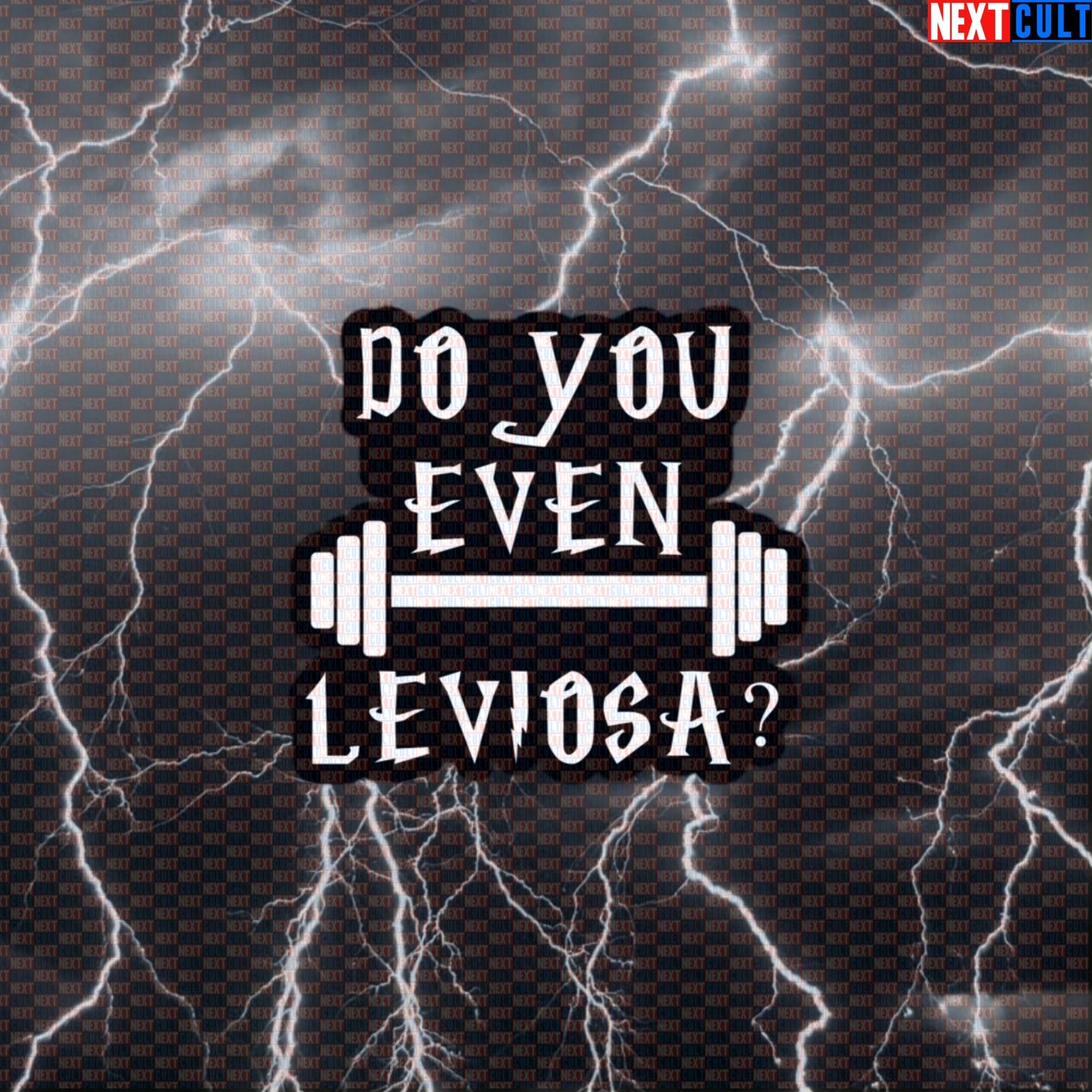 Do You Even Leviosa Funny Gym Sticker | Harry Potter Workout Decal for Water Bottles & Gym Gear Default Title Stickers Bodybuilding Books Films Fitness Gym Harry Potter Powerlifting Workout Next Cult Brand