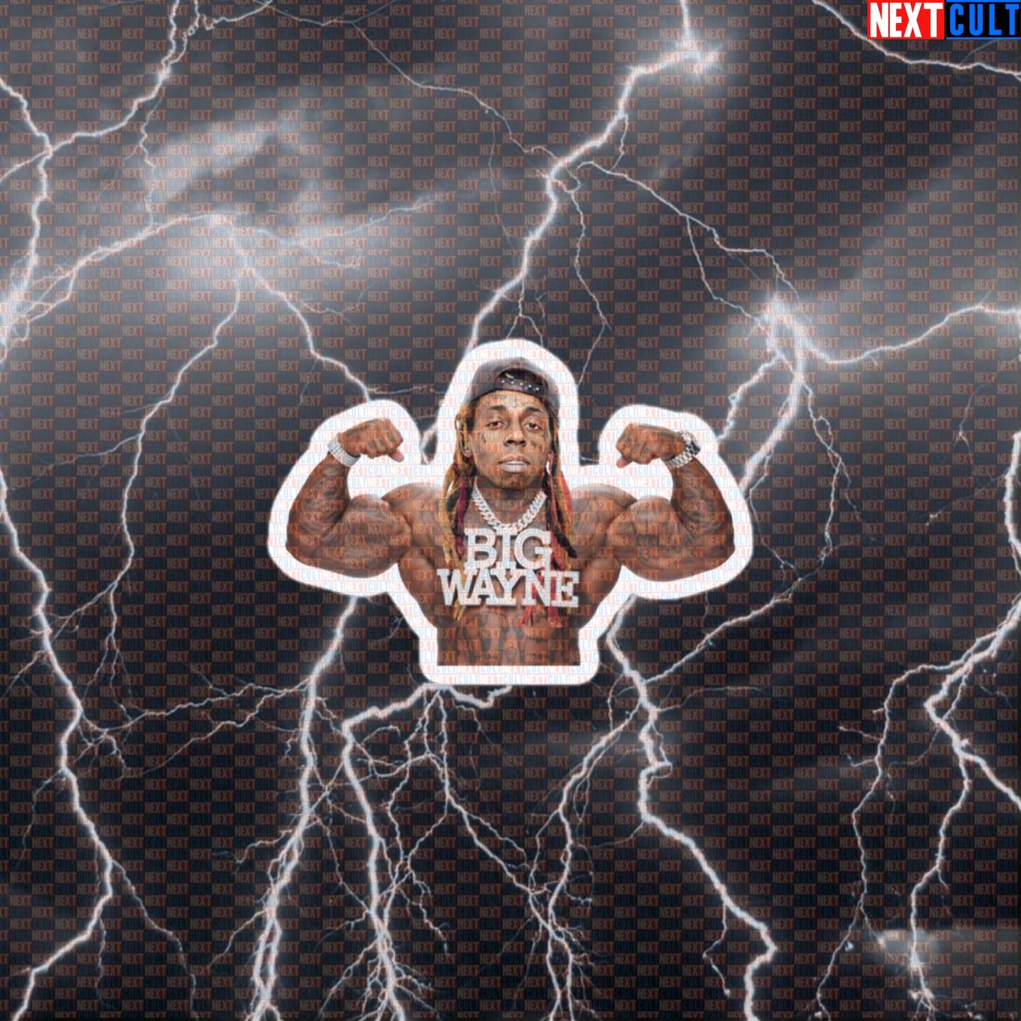Big Wayne Swole Gym Meme Sticker | Funny Workout Lil Weezy Parody Vinyl Decal Default Title Stickers Bodybuilding Fitness Gym Hip Hop Lil Wayne Workout Next Cult Brand