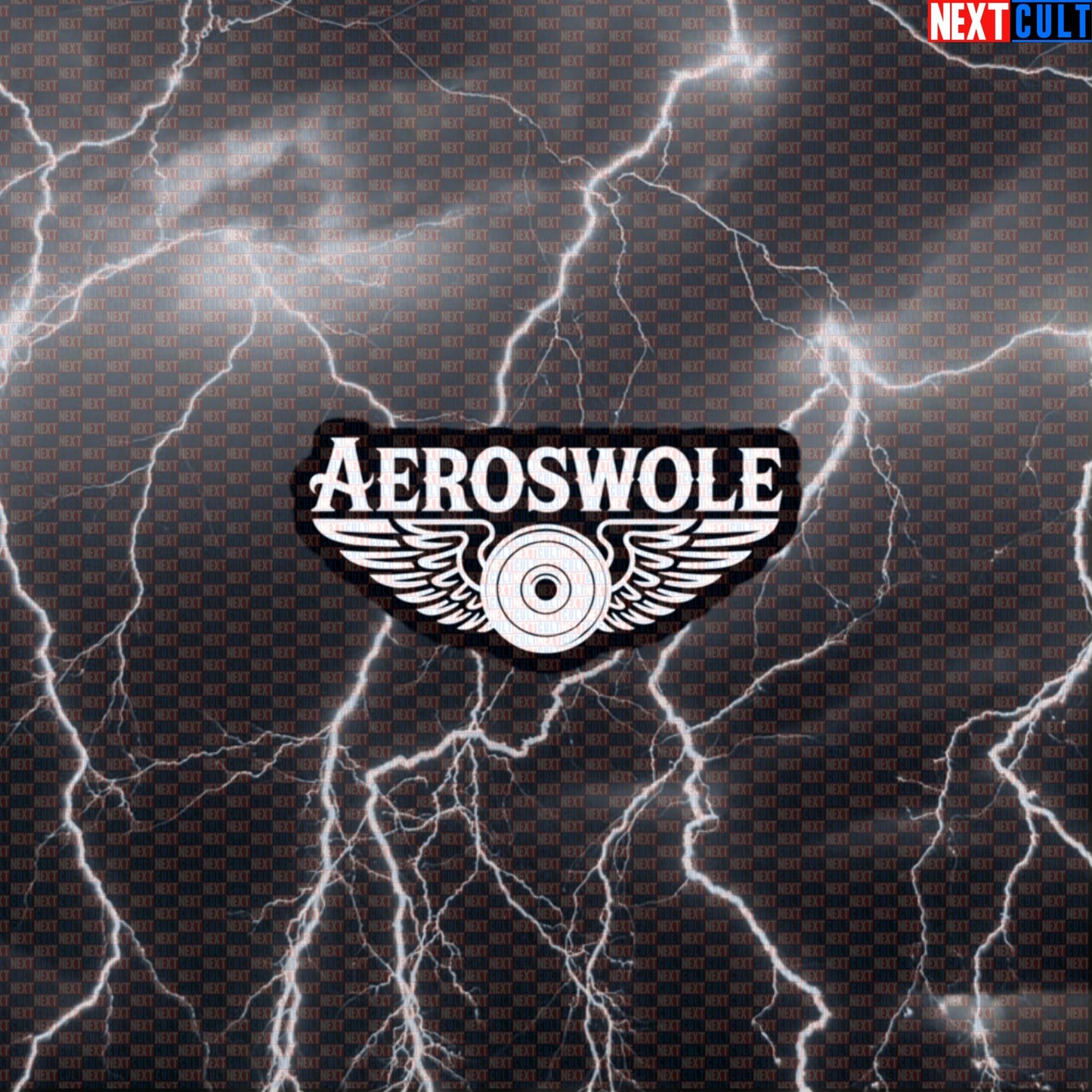 Aeroswole Funny Gym Sticker - Rock Music Bodybuilding Meme Decal for Lifters, Water Bottles, Gym Lockers & Notebooks Default Title Stickers Aerosmith Bodybuilding Fitness Gym Rock Music Workout Next Cult Brand