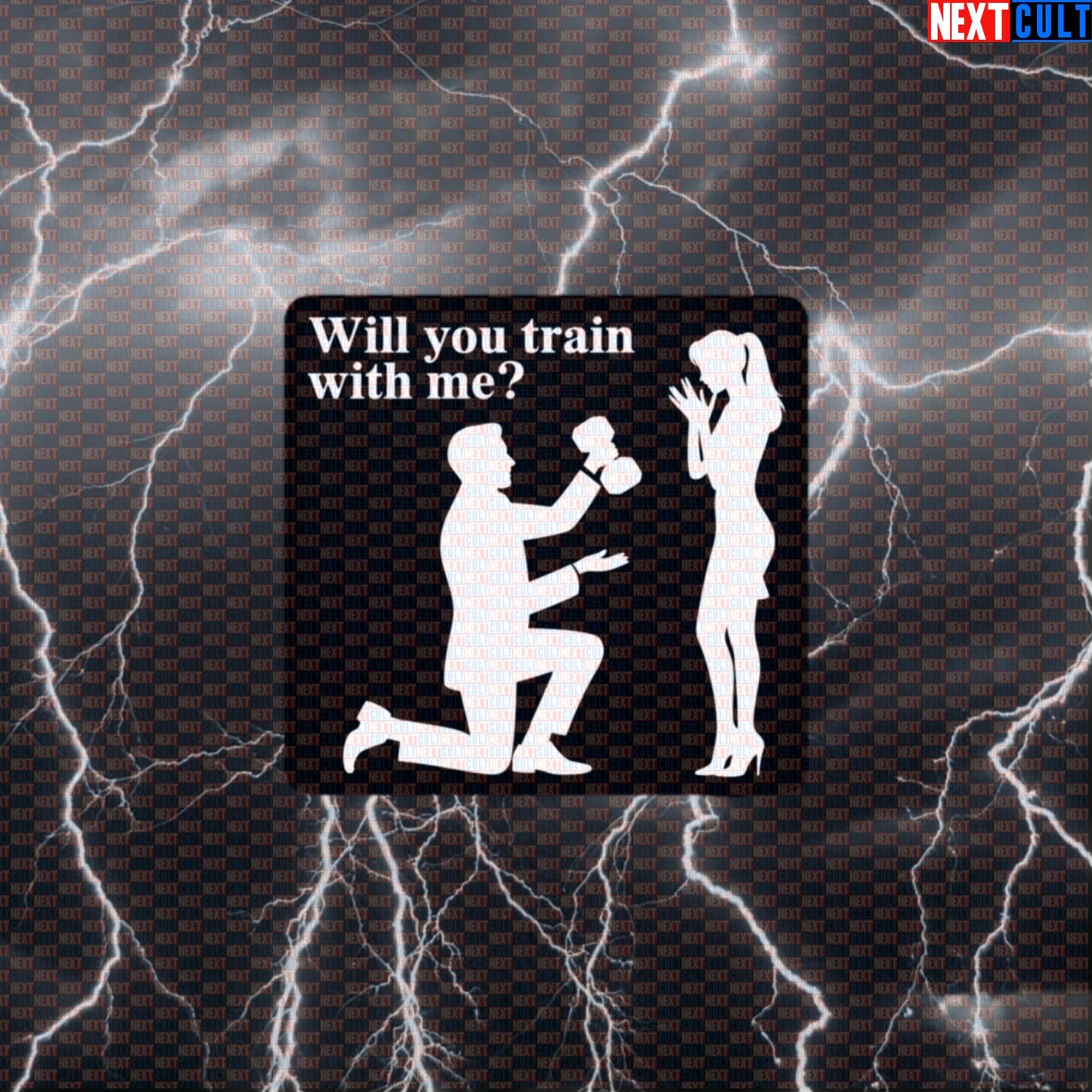 Will You Train With Me Funny Gym Proposal Sticker - Valentine's Day Workout Decal for Gym Gear Default Title Stickers Bodybuilding Fitness Gym Powerlifting Valentine's Day Workout Next Cult Brand