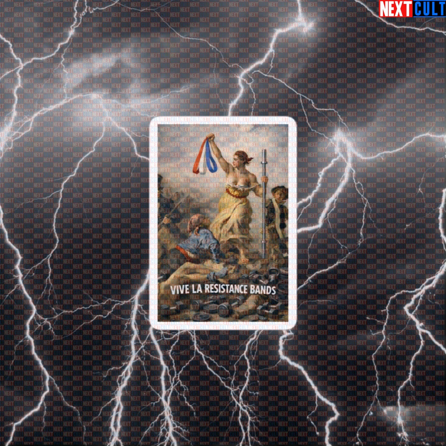 Vive La Resistance Bands Funny Gym Sticker Painting Meme – Resistance Bands Warmup Rehab Mobility Fitness Revolution Decal Default Title Fitness Functional Fitness Gym Workout Next Cult Brand