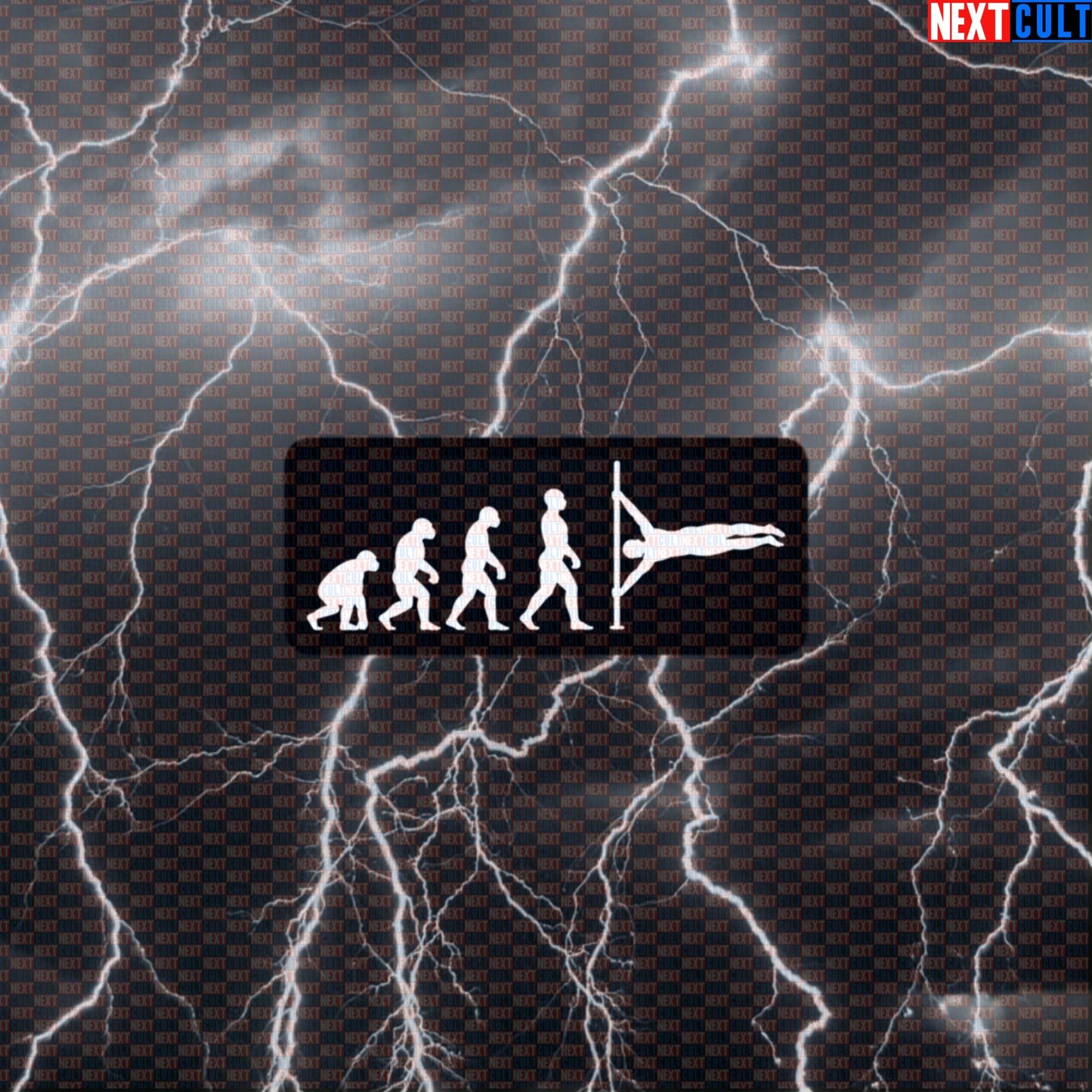Human Flag Funny Gym Sticker Calisthenics Decal Workout Sticker for Water Bottles Laptops Gym Gear Default Title Stickers Next Cult Brand