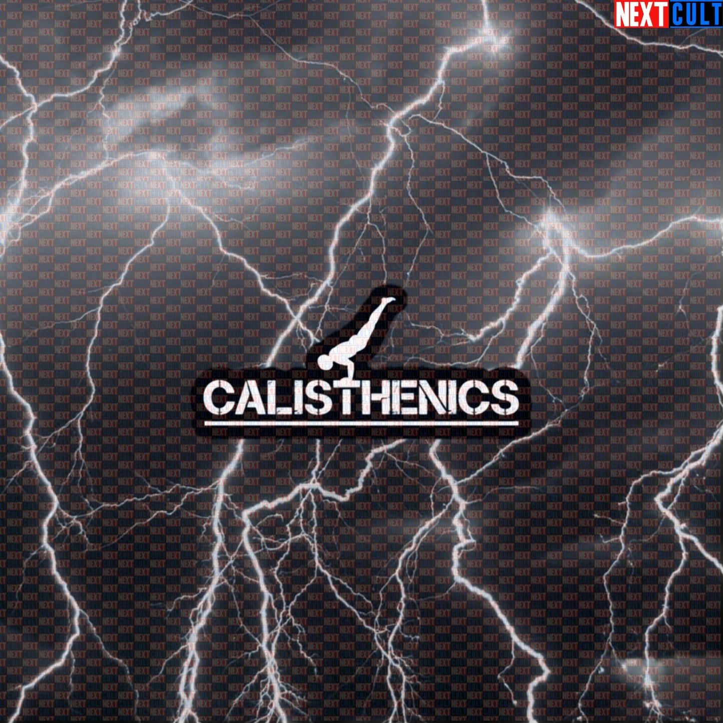 Funny Calisthenics Gym Sticker Decal for Water Bottles Laptops Workout Gear Fitness Lovers Default Title Stickers Next Cult Brand