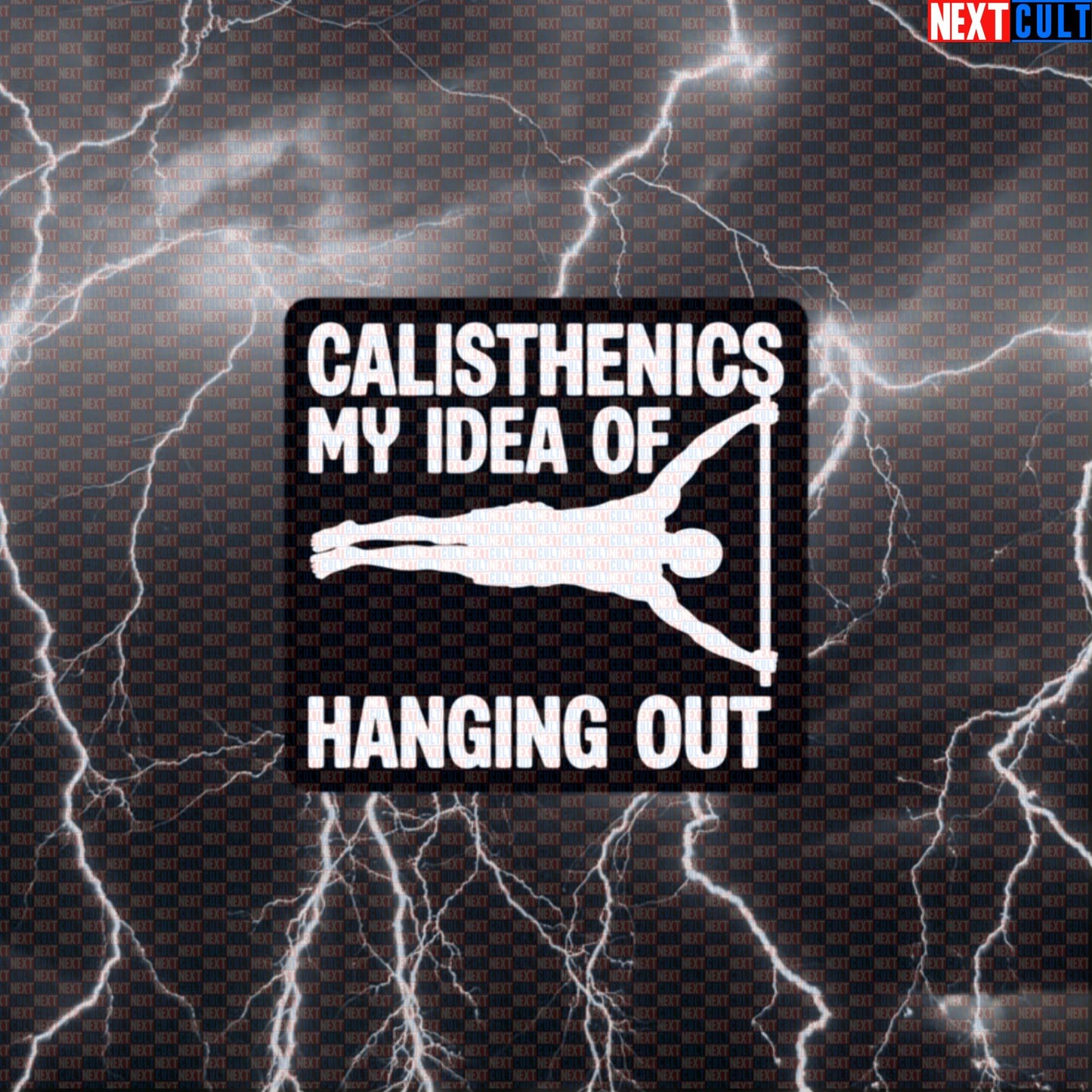 Calisthenics Hanging Out Funny Gym Sticker Decal for Water Bottles Laptops Street Workout Gear Default Title Calisthenics Fitness Gym Workout Next Cult Brand