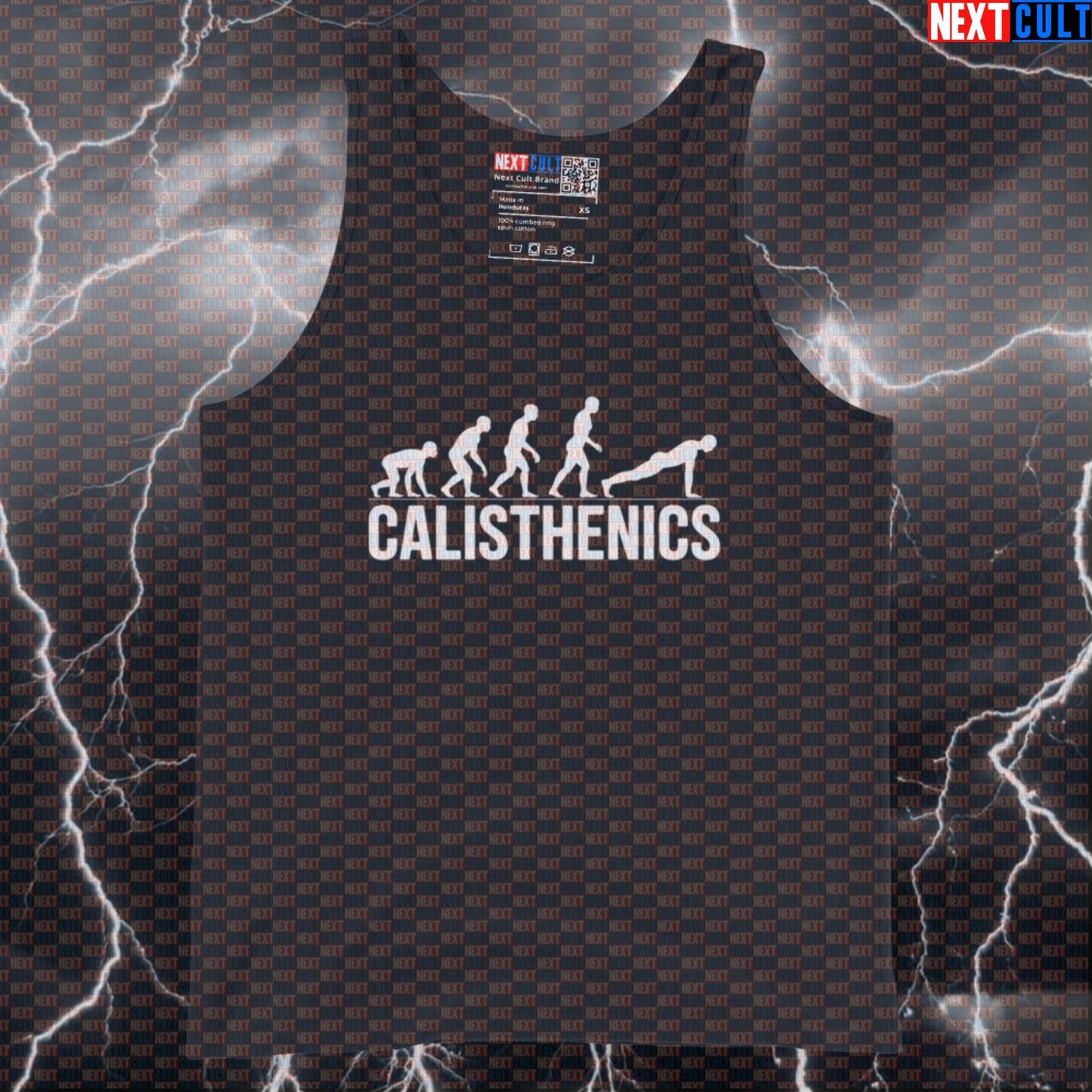 Calisthenics Evolution Funny Gym Tank Top Muscle Shirt Athletic Vest for Bodyweight Workout Fans Tank Tops Next Cult Brand