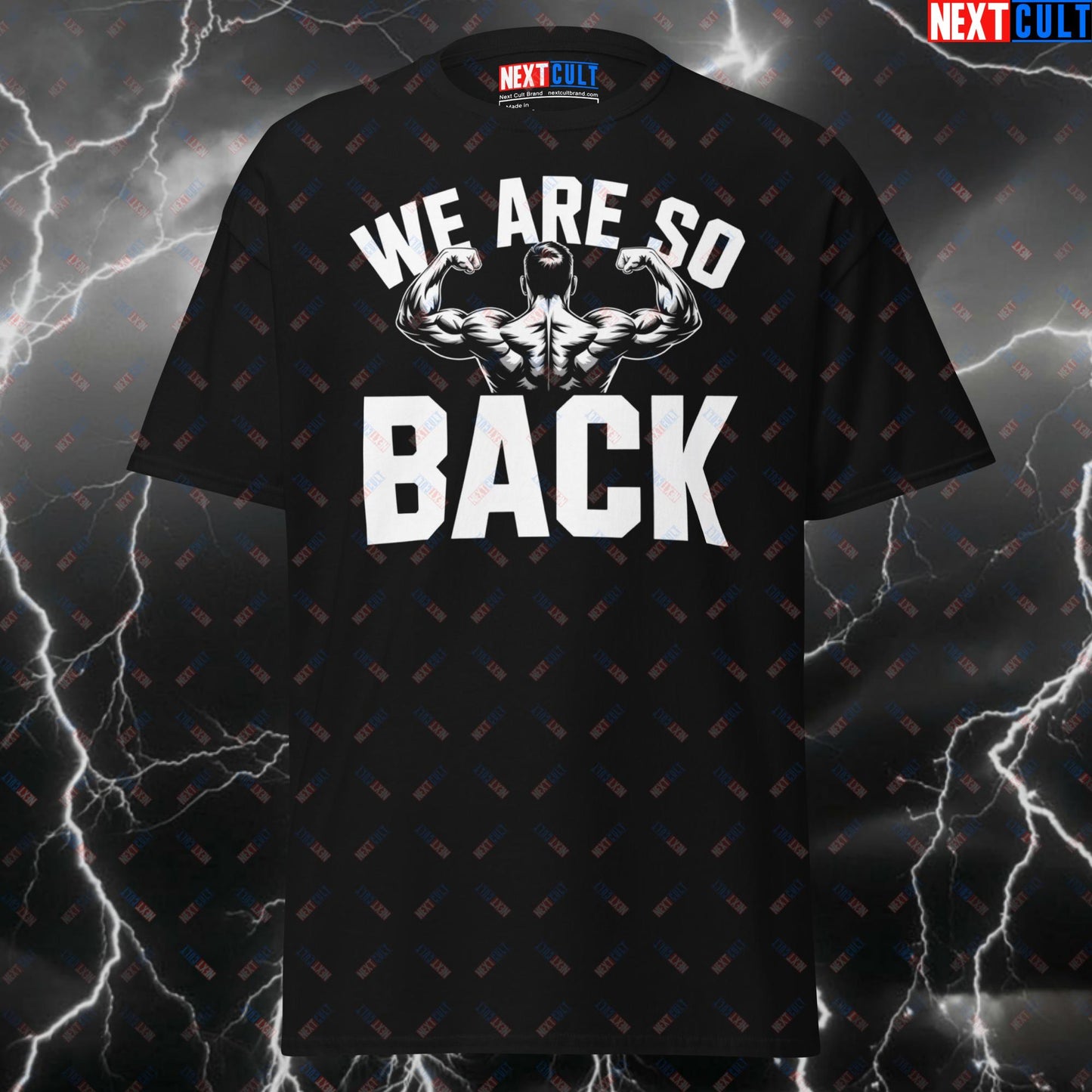 Funny Gym Shirt - We Are So Back Pump Cover T-Shirt for Wide Back Gains, Gymbro Meme Tee for Back Training & Powerlifting T-shirts Bodybuilding Fitness Gym Pump Cover Workout Next Cult Brand