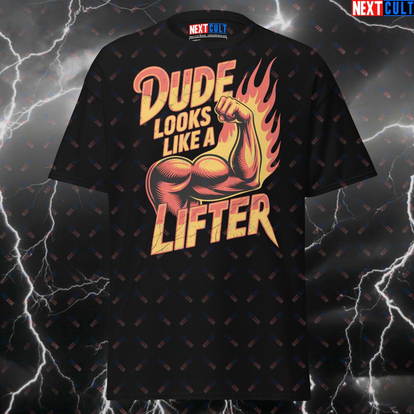 Dude Looks Like a Lifter Funny Gym Shirt – Aerosmith Rock Music Meme Tee for Gymbros & Lifters – Pump Cover Workout Top T-shirts Aerosmith Bodybuilding Fitness Gym Pump Cover Rock Music Workout Next Cult Brand