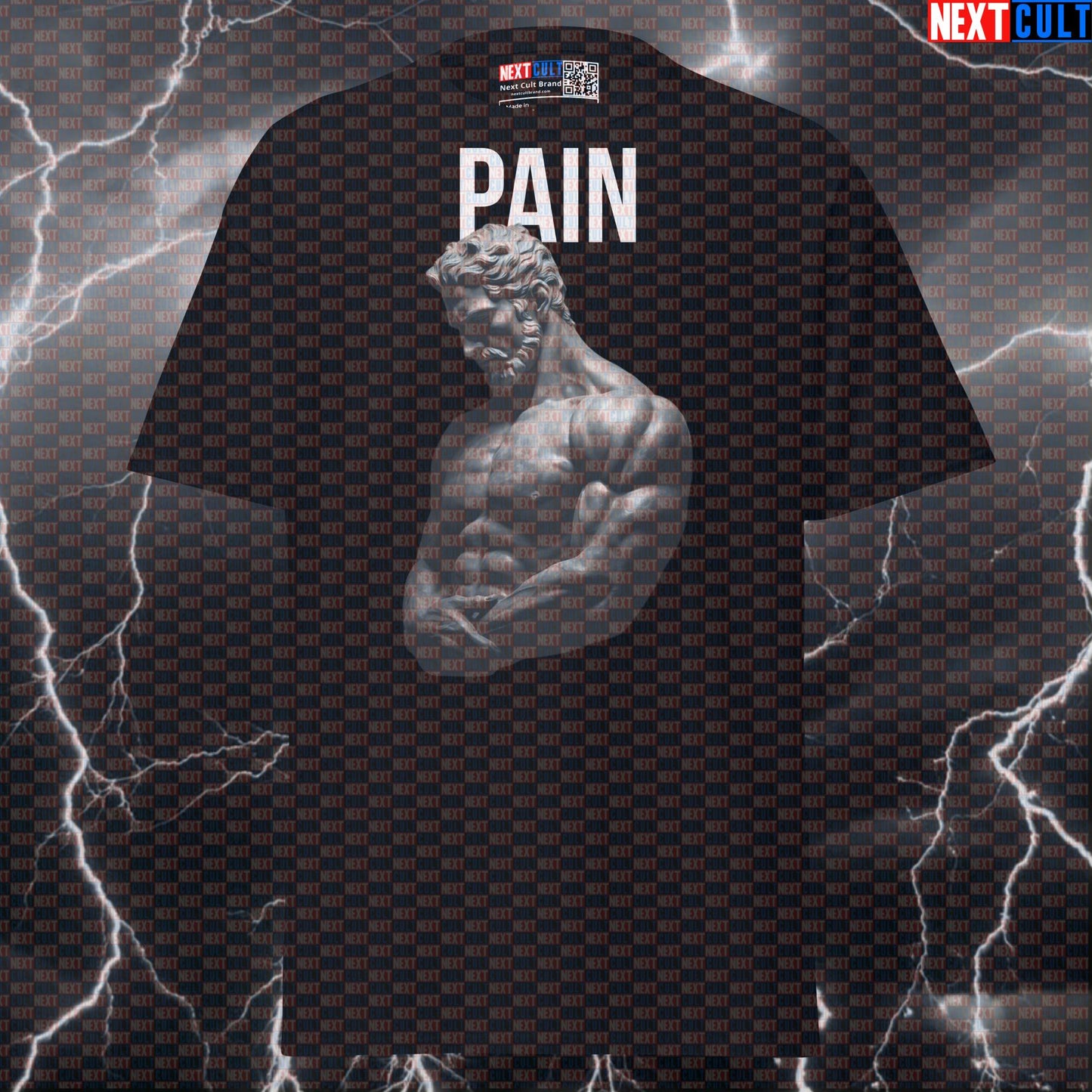 Pain is Temporary Stoic Gains Graphic Tee - Funny Gym Meme Shirt for Lifters & Sigma Leaders Pump Cover T-shirts Ancient Greece Fitness Gym Pump Cover Stoicism Workout Next Cult Brand