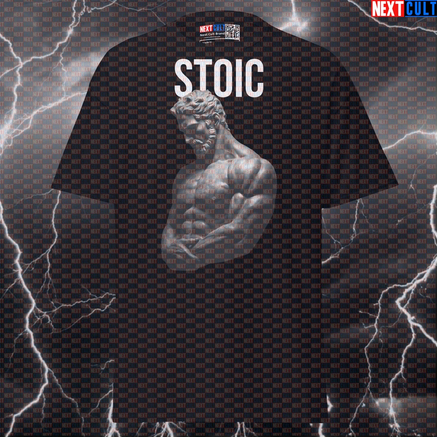 Stoic Marble Sculpture Gym Tee: Funny Bodybuilding & Stoicism Graphic T-Shirt for Lifters T-shirts Ancient Greece Fitness Gym Pump Cover Stoicism Workout Next Cult Brand