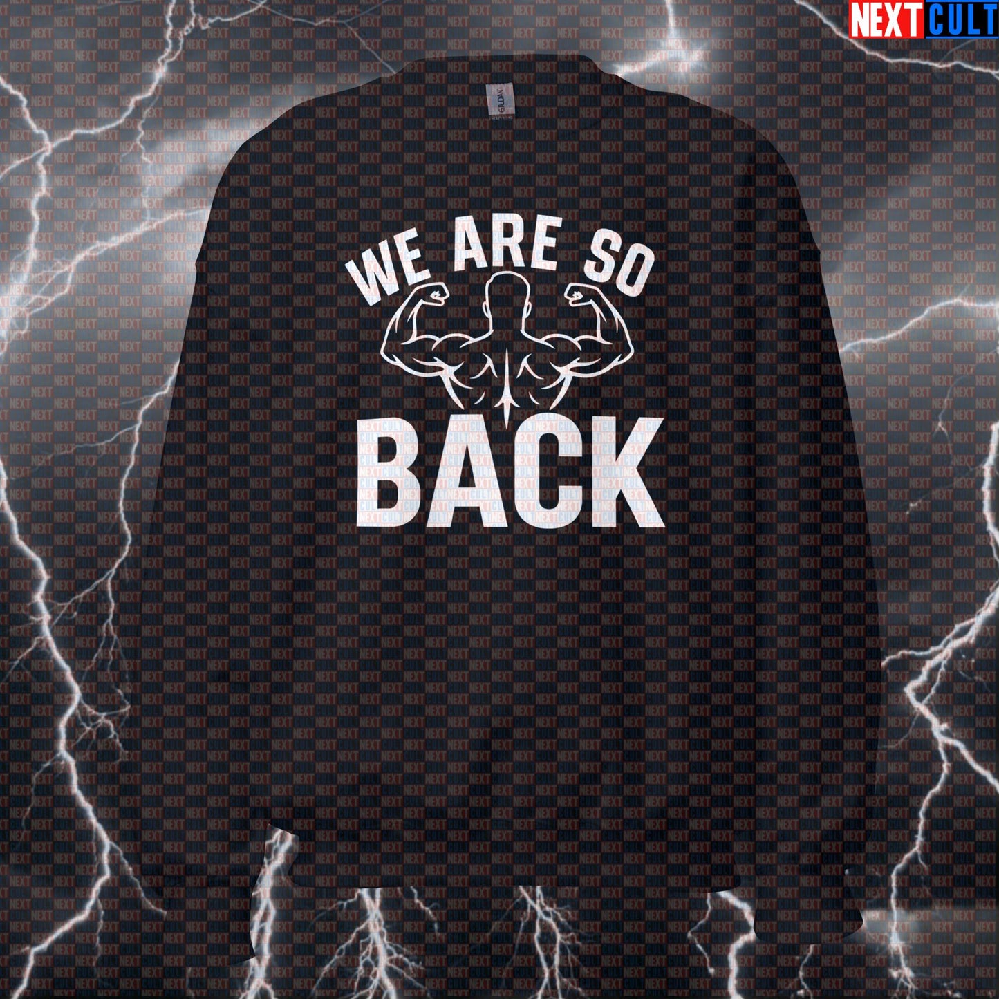 We Are So Back Gym Sweatshirt | Back Training Crewneck | Funny Workout Sweater Bodybuilding Fitness Gym Pump Cover Workout Next Cult Brand