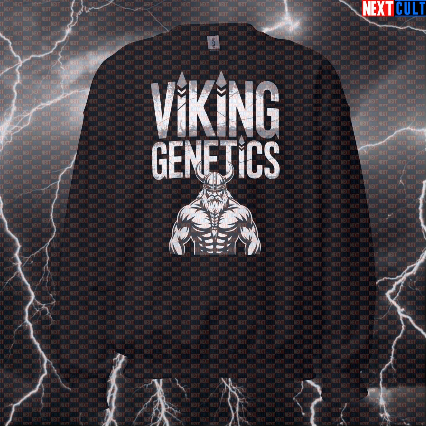 Viking Genetics Funny Viking Gym Sweatshirt - Norse Fitness Meme Jumper Pullover for Gymbros Pump Cover Bodybuilding Fitness Gym Pump Cover Vikings Workout Next Cult Brand
