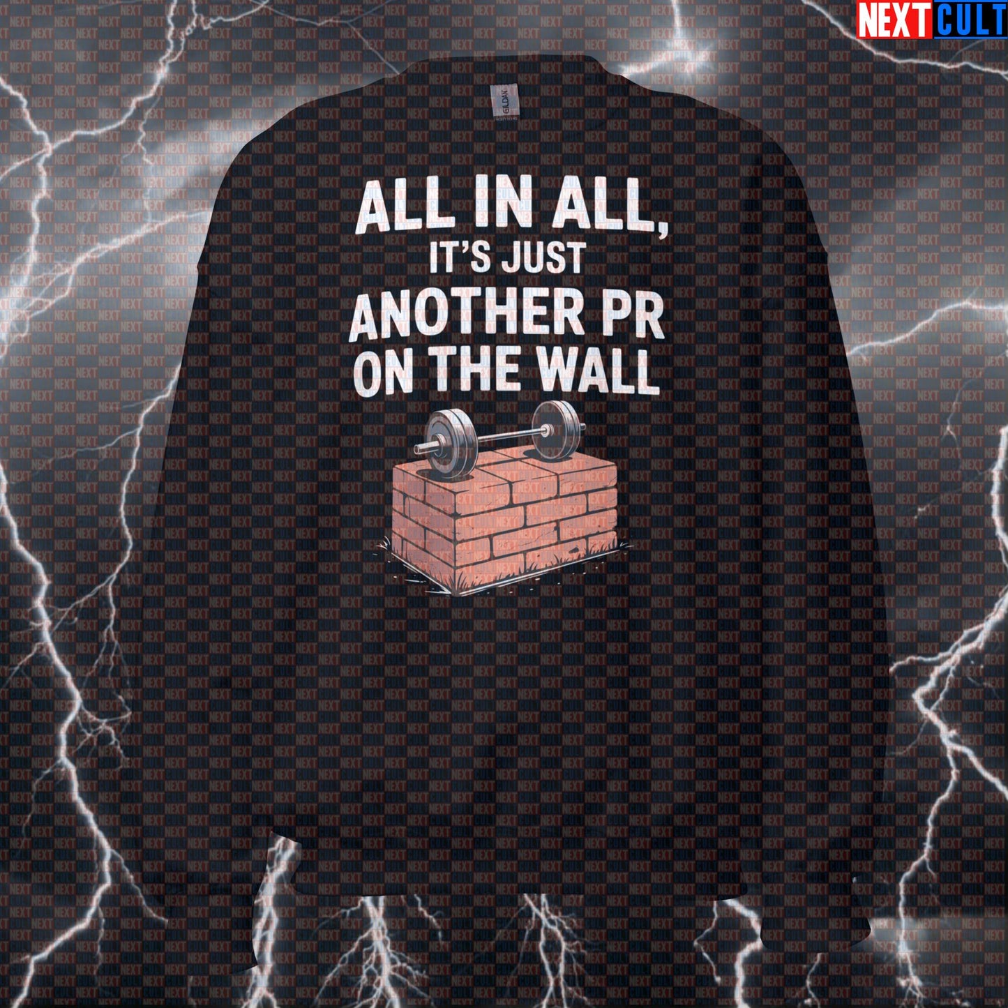 All In All Its Just Another PR On The Wall Funny Gym Sweatshirt - Pink Floyd Meme Jumper Pullover Pump Cover Sweatshirts Bodybuilding Fitness Gym Pink Floyd Powerlifting Pump Cover Rock Music Workout Next Cult Brand