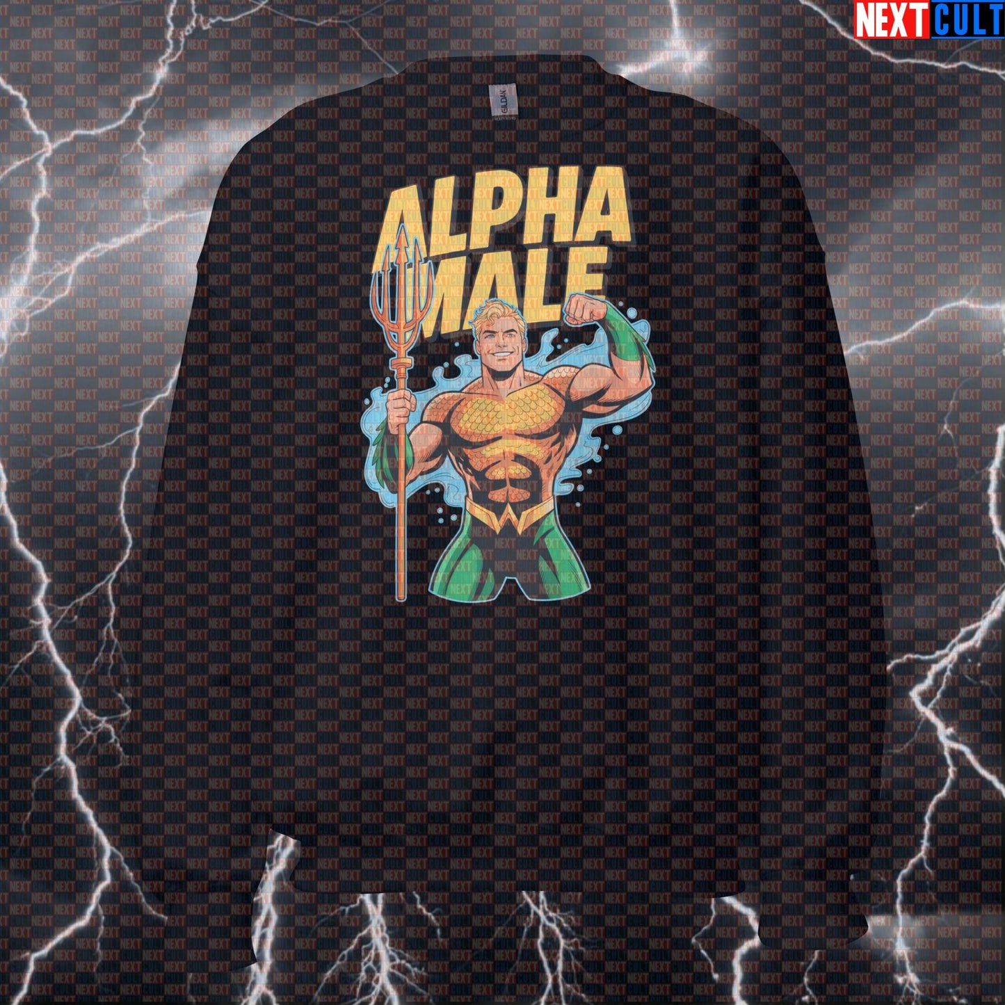 Alpha Male Aquaman Gym Sweatshirt Funny Pump Cover Crewneck Pullover Gym Jumper Workout Sweater Top Sweatshirts Next Cult Brand