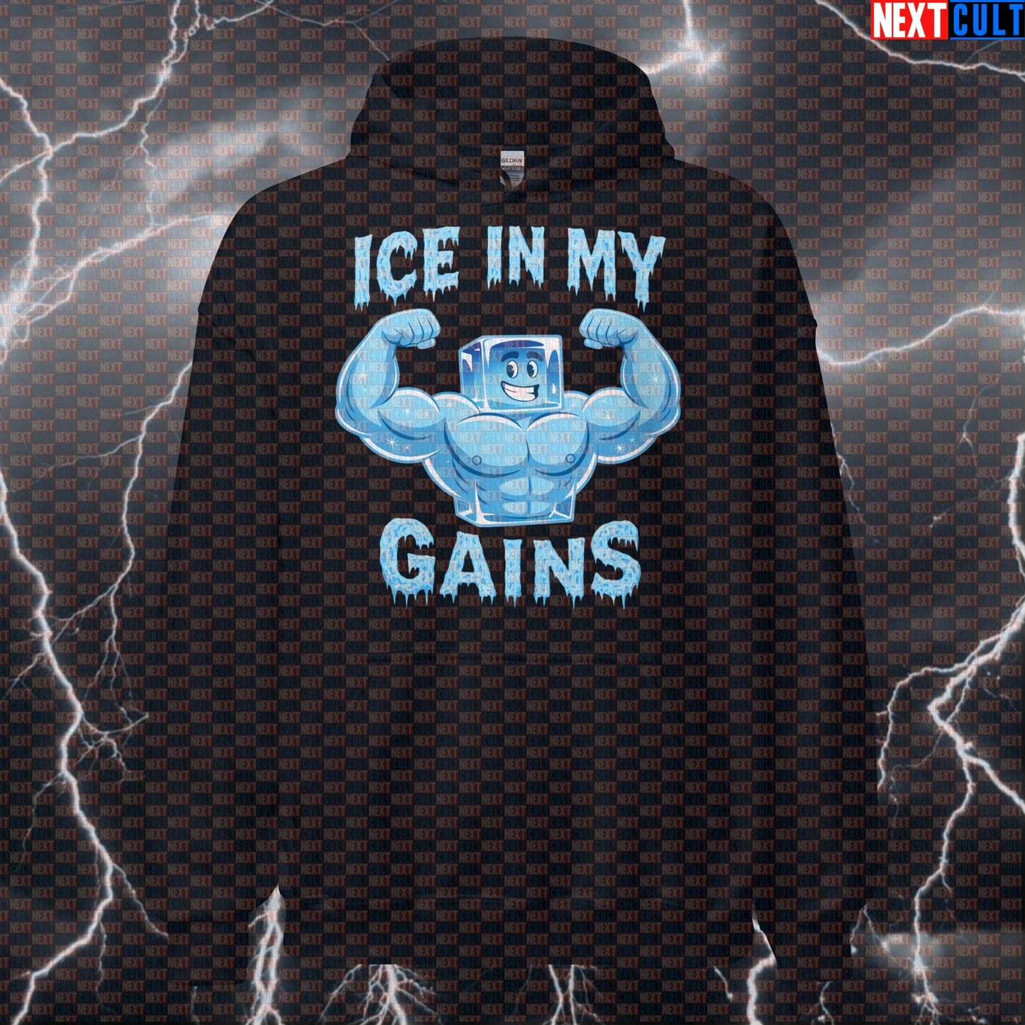 Ice In My Gains Funny Gym Hoodie | Icy Workout Pullover For Bodybuilding Bodybuilding Fitness Gym Pump Cover Workout Next Cult Brand