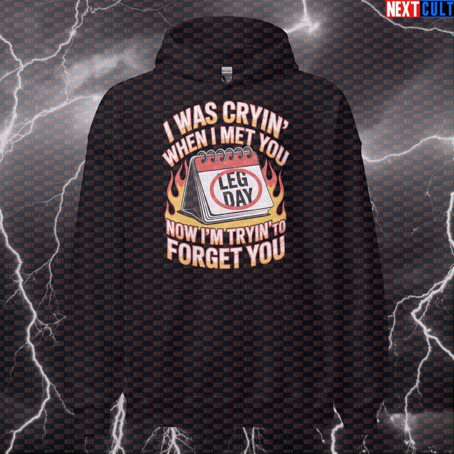 Leg Day Meme Hoodie - Funny Gym Hoodie & Workout Pullover for Weightlifting Fans Hoodies Aerosmith Bodybuilding Fitness Gym Leg Day Powerlifting Pump Cover Rock Music Workout Next Cult Brand