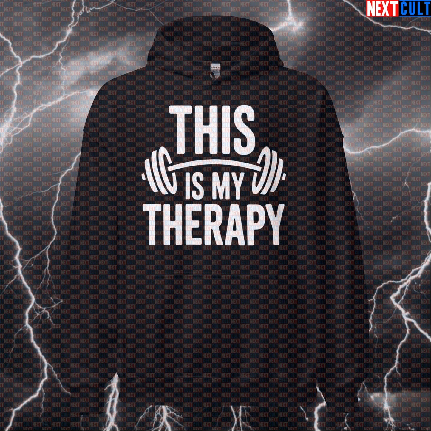 This Is My Therapy Funny Gym Hoodie Hooded Sweatshirt Pullover Pump Cover for Lifters Workout Humor Hoodies Next Cult Brand