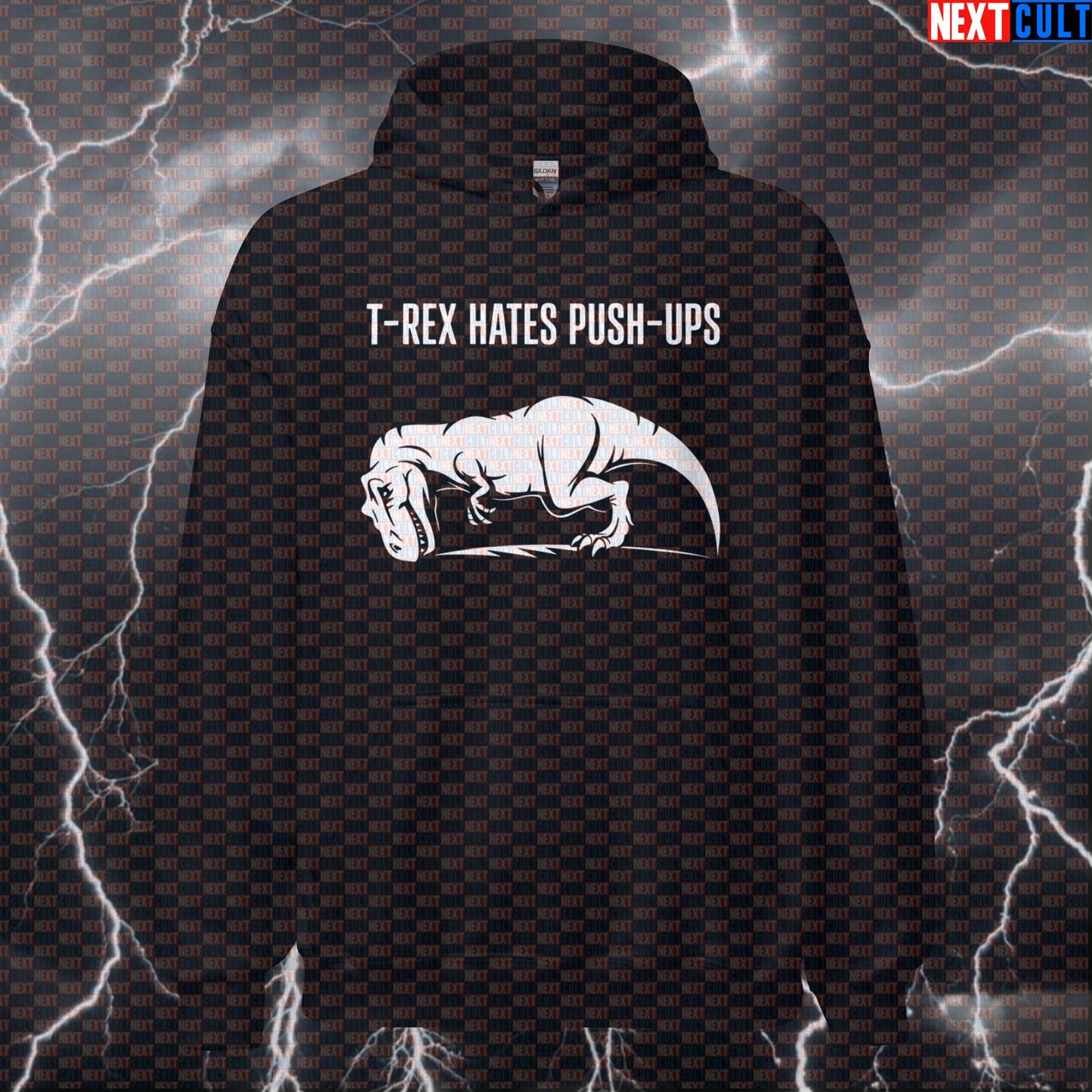 T-Rex Hates Push Ups Funny Gym Hoodie Pump Cover Hooded Sweatshirt for Calisthenics Workout Fans Bodybuilding Calisthenics Fitness Gym Pump Cover Workout Next Cult Brand