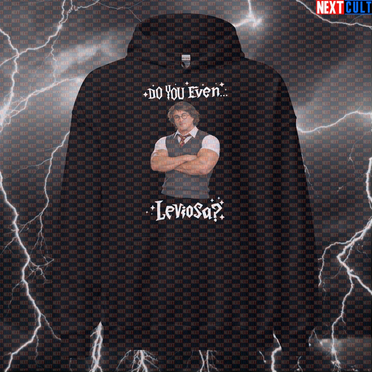 Do You Even Leviosa Funny Gym Hoodie Rocky Potter Harry Potter Sylvester Stallone Workout Hoodie Fitness Hoodies Next Cult Brand