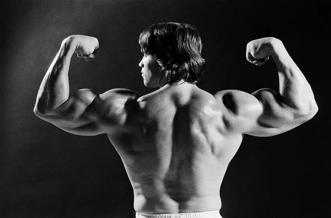 Arnold Schwarzenegger displaying his muscular back in a vintage black-and-white rear double-biceps pose