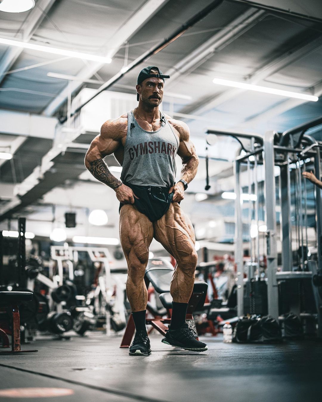 Chris Bumstead posing in a gym