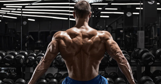 Muscular athlete seen from behind showing developed back and shoulder muscles in a gym