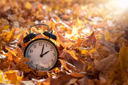 Vintage alarm clock surrounded by autumn leaves, symbolizing the fall daylight saving time change