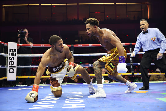 Devin Haney in current boxing context