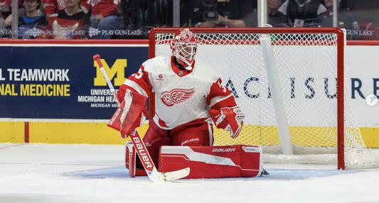 Michal Postava in Detroit Red Wings equipment during the 2026 season
