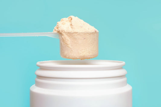 Scoop of pale protein powder suspended over an open white supplement tub against a turquoise background