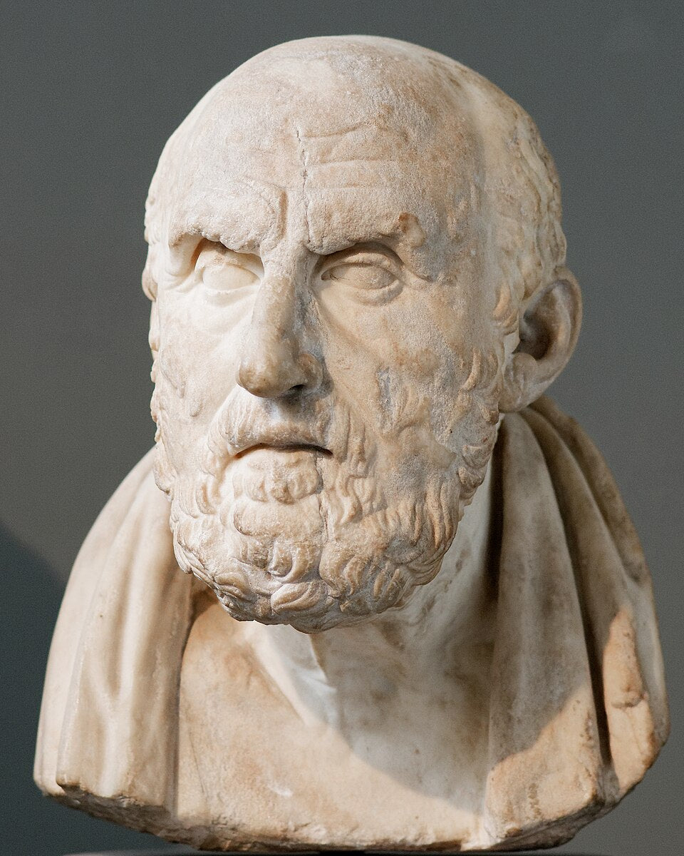 Marble bust of Chrysippus, an ancient Stoic philosopher, representing mental discipline and athletic composure