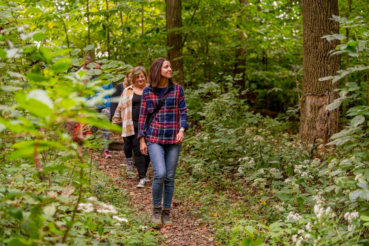 Group of people walking slowly through a leafy forest during a guided shinrin-yoku session