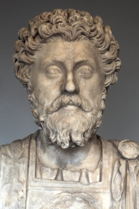 Classical marble bust of Marcus Aurelius